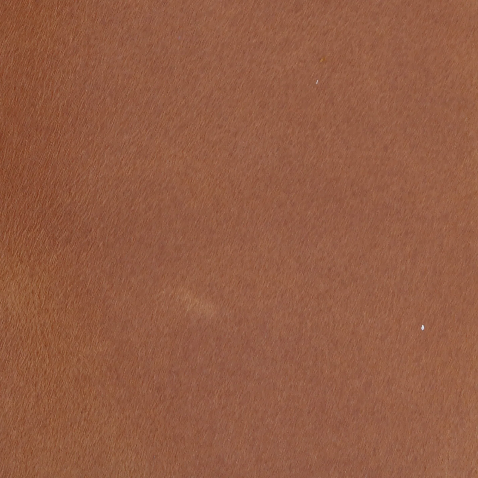 Bourbon full grain aniline leather
