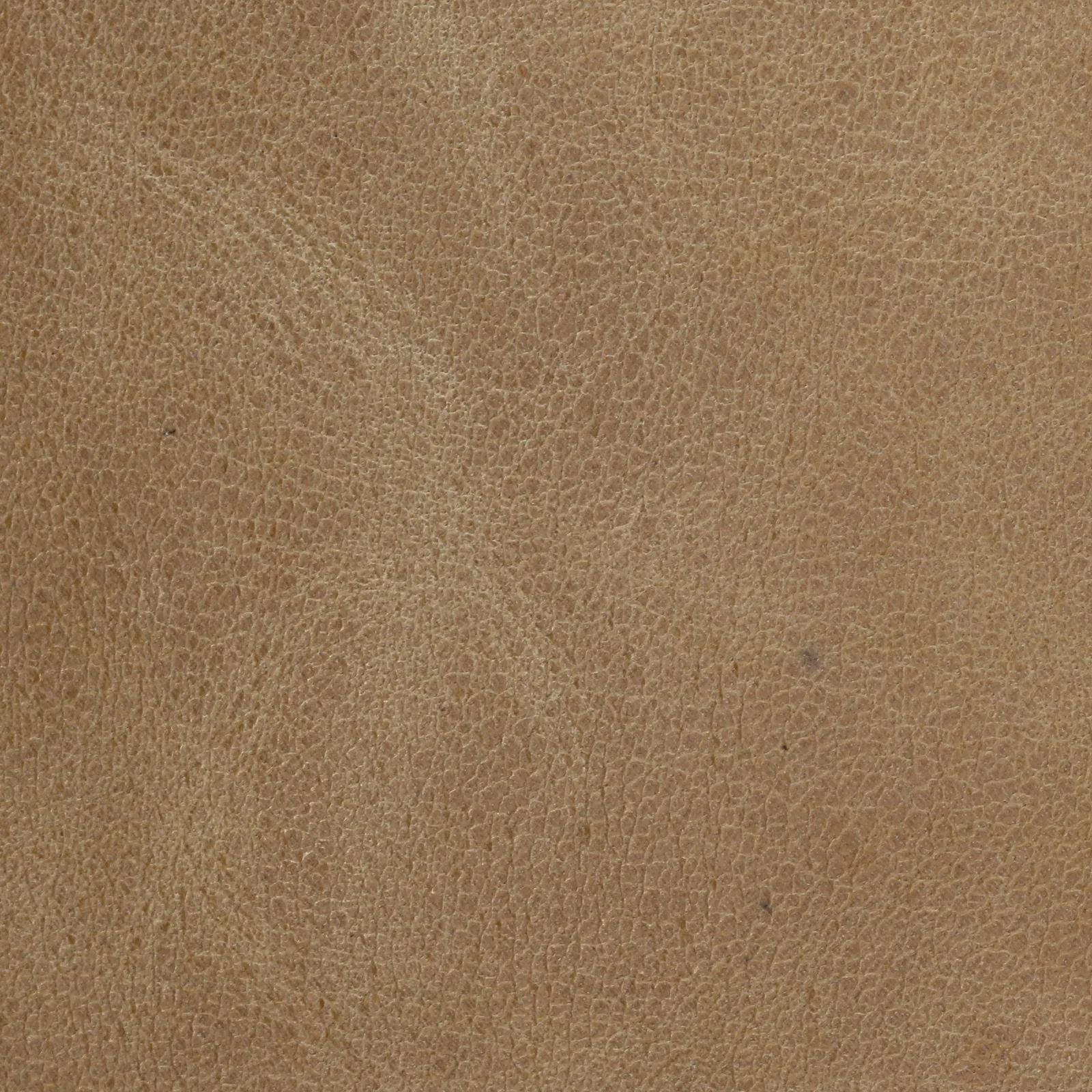 Camel full grain aniline leather