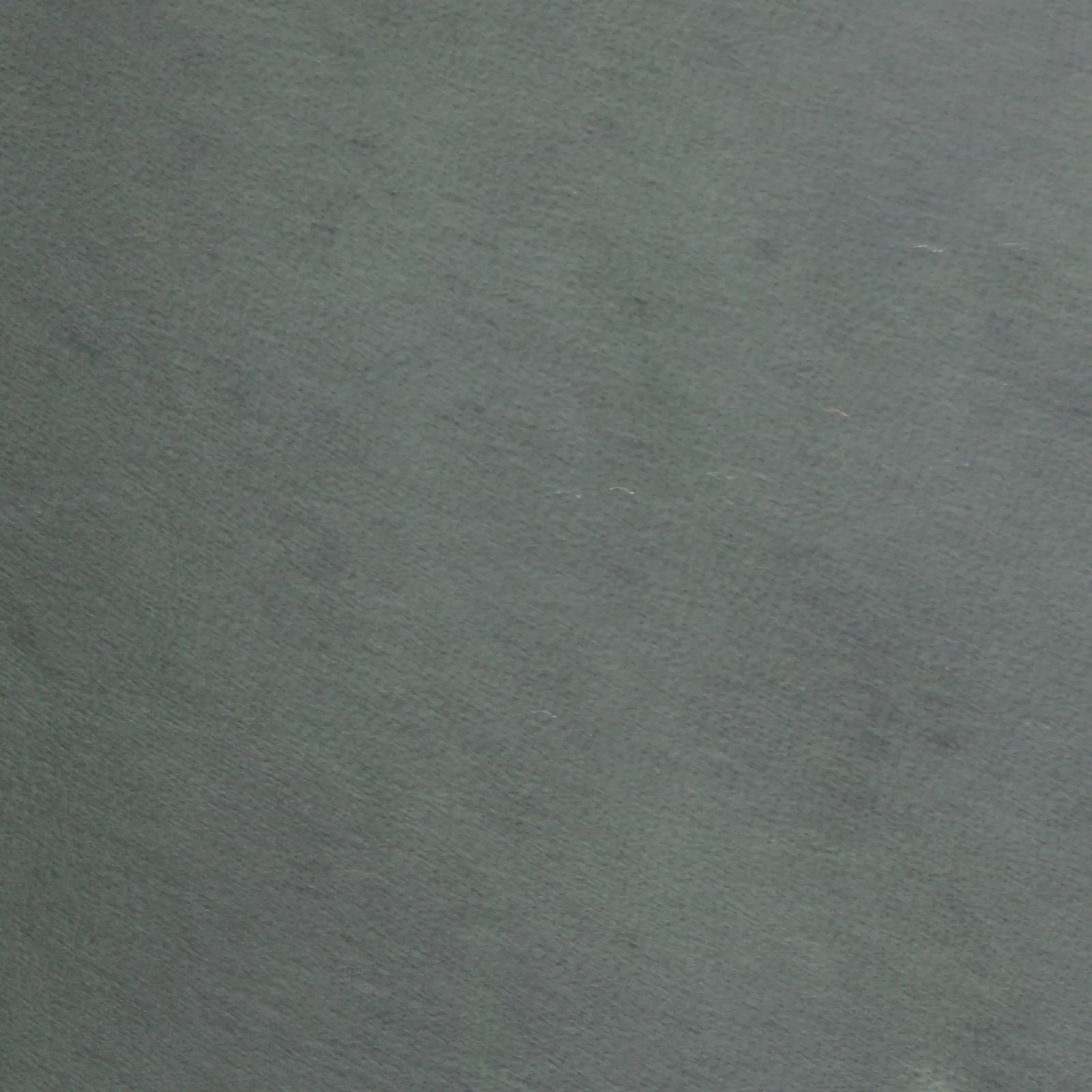 Forest full grain aniline leather